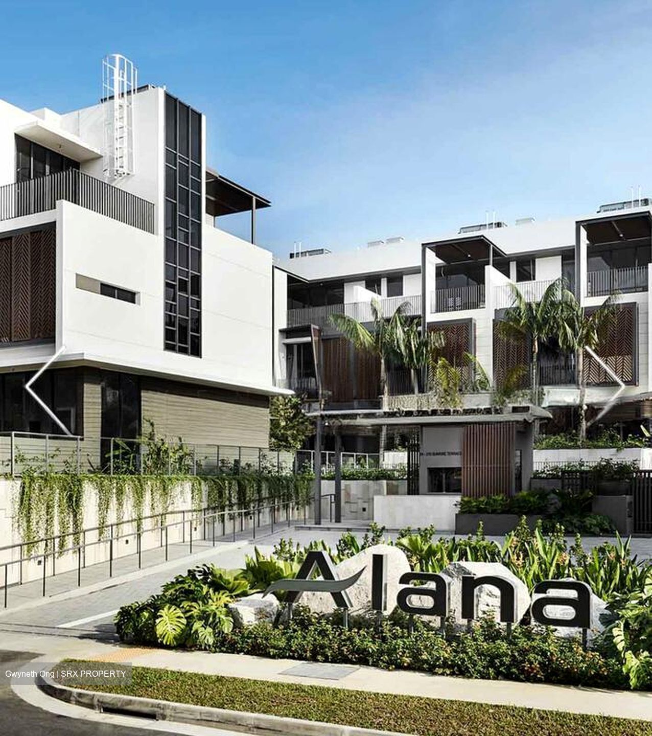 Sunrise Avenue (D28), Terrace #496755941